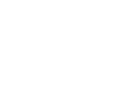 Evo